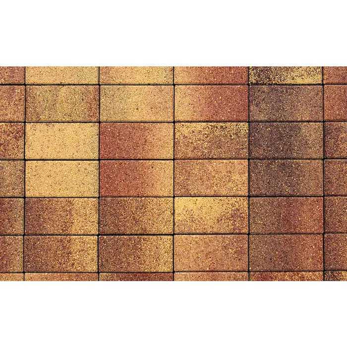 Плитка тротуарная Прямоугольник (Ла-Линия) Б.2.П.8 Листопад гранит Осень 200x100x80 мм